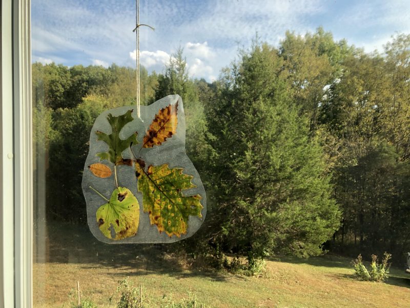 Suncatcher Hobby Farms