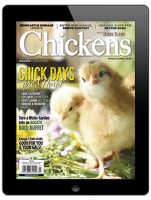 Chickens-March/April 2020 Digital