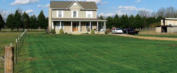 Tips on Caring for Your Lawn in the Fall