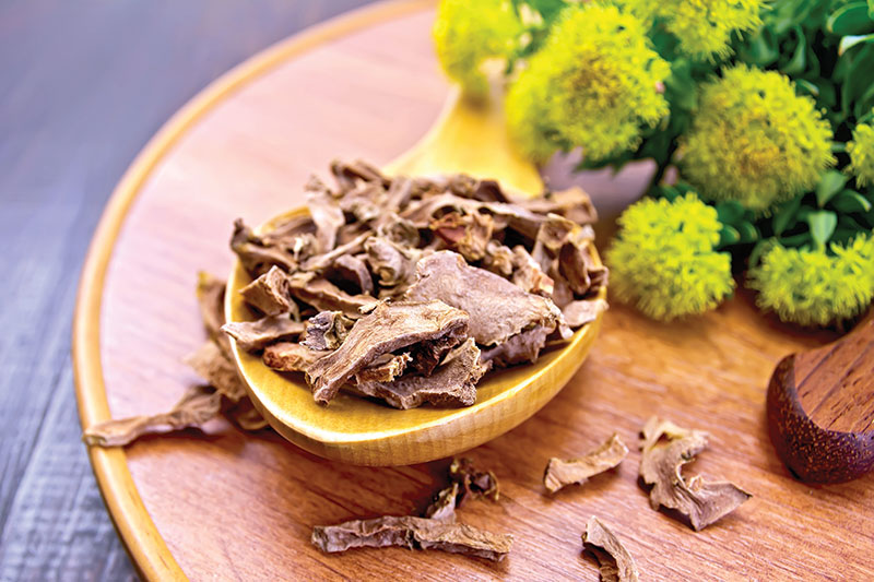 rhodiola herbs stress relief