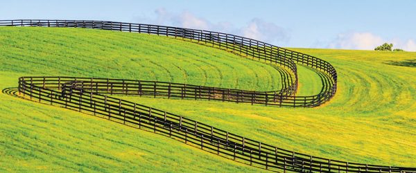 Farm Fencing Fundamentals: How To Keep Things Secure