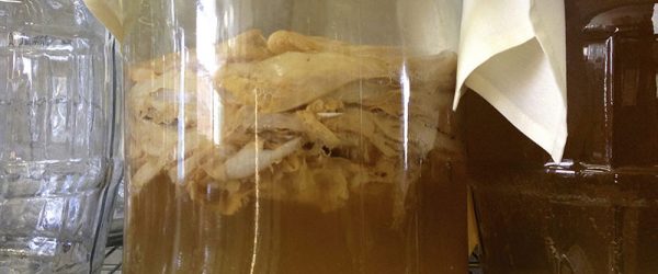 5 Fixes For Kombucha Fails