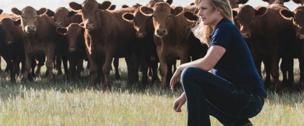 Large Animal Veterinarians Keep Farms Healthy