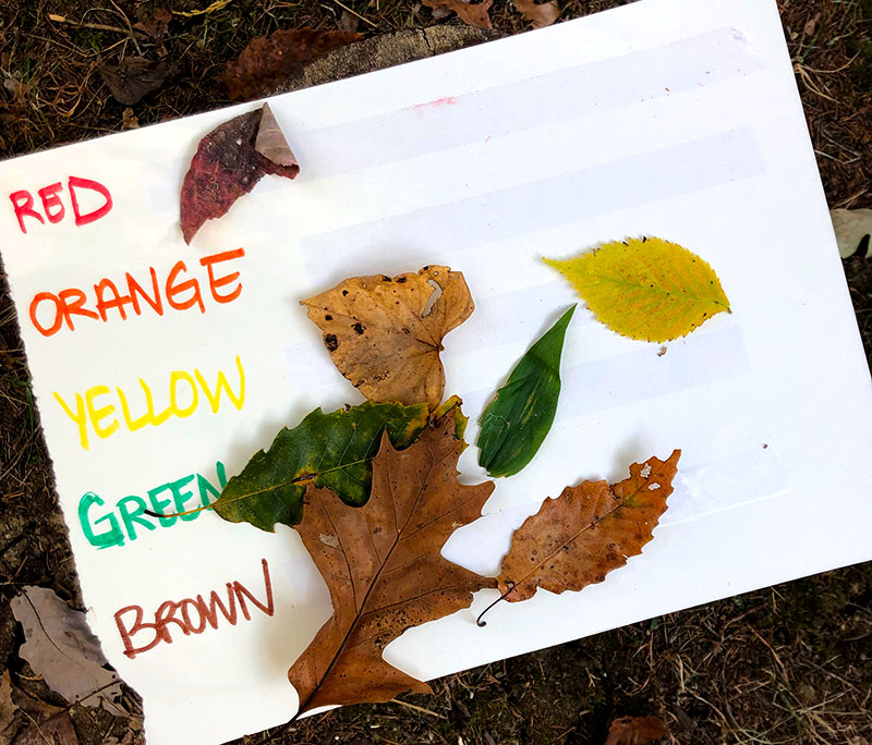 leaf leaves activities kids scavenger hunt rainbow