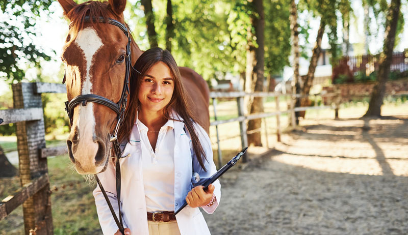 large animal veterinarian veterinarians equine horse