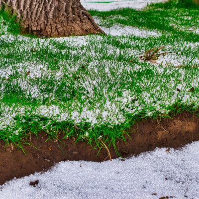 What Do Farmers Do in the Winter: Mild Weather