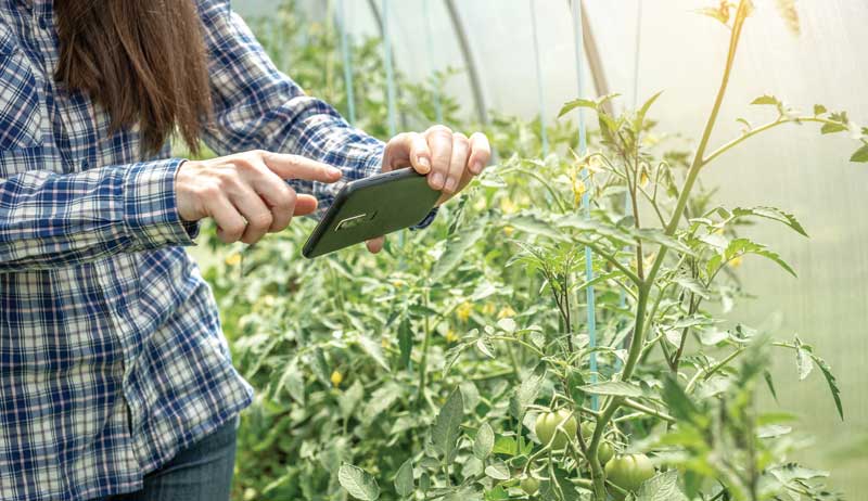 a woman is clicking image of her garden