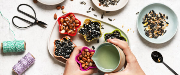 How to Make Birdseed Ornaments