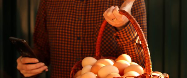 These Apps Can Help You Manage Backyard Chickens