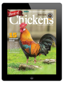 2025 Best of Chickens Digital