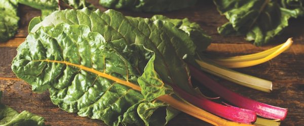 20 Vegetable Seeds To Try In Your 2021 Garden