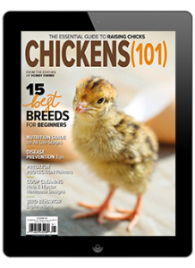 Chickens (101)-Digital-2022