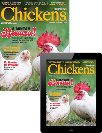 Chickens Combo Edition