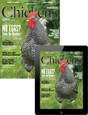 1 Year Chickens Print+Digital Subscription