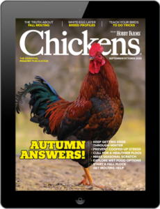 Chickens- Sep/Oct 2025 Digital