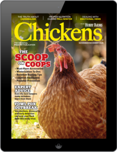 Chickens- Nov/Dec 2025 Digital