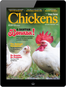 Chickens- Jan/Feb 2026 Digital
