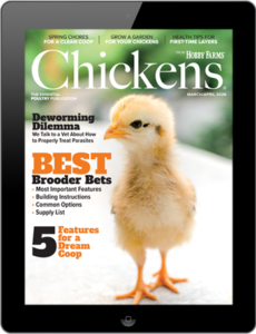 Chickens- Mar/Apr 2026 Digital