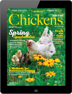Chickens- May/June 2026 Digital