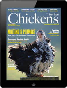 Chickens- September/October 2026 Digital