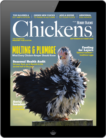 Chickens Digital Edition