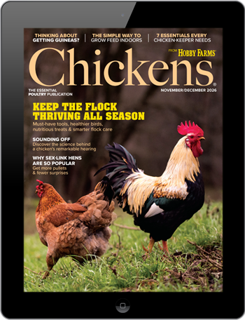 Chickens Digital Edition