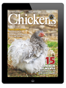 Chickens- May/June 2024 Digital