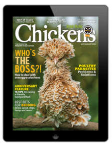 Chickens- Jul/Aug 2024 Digital