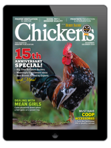 Chickens- Nov/Dec 2024 Digital