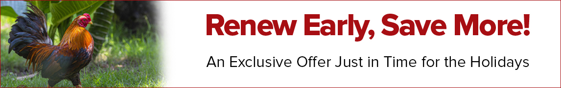 Add 1-Year Chickens Print Magazine Subscription for just $15
