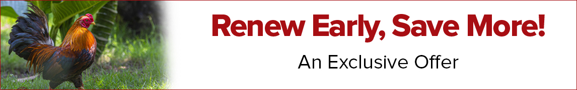 Early Renewal-Chickens Print Magazine Subscription