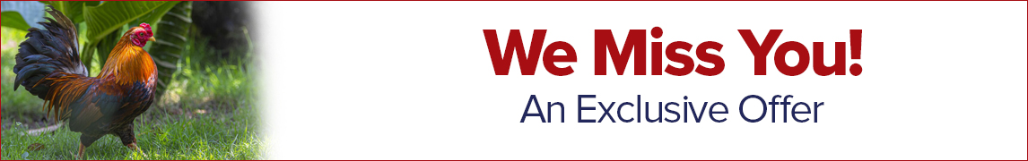 Expired Renewal -Chickens Print Magazine Subscription