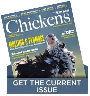latest issue