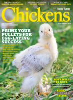 chickens magazine combo Jul/Aug 2025
