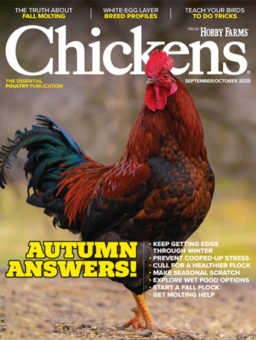 Chickens Print Magazine Subscription