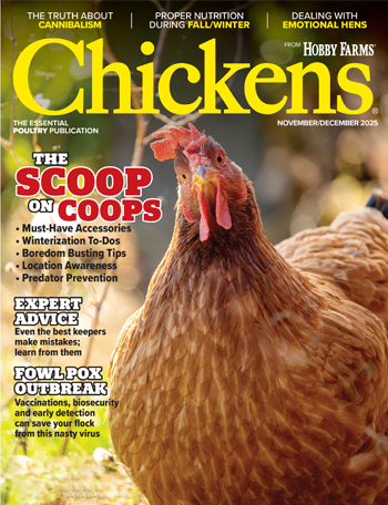 Early Renewal - Chickens Print Magazine Subscription