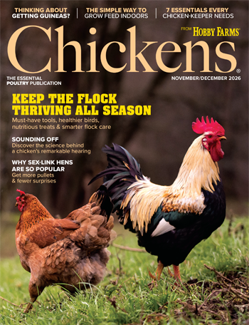 Chickens Print Edition