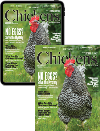 1 Year Chickens Print+Digital Subscription