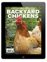 order the 2023 backyard chickens annual today