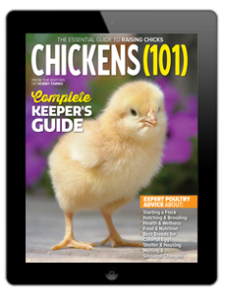 2025 Chickens 101 Digital