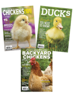 all our best-selling poultry guides in one place