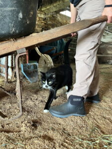 The Everyday Farm Boot That Doesn’t Feel Like a Chore