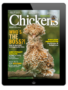 chickens- jul/aug 2024