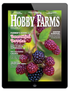 Hobby Farms Jan/Feb 2025 Digital