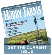 latest issue