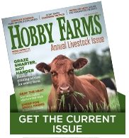 latest issue
