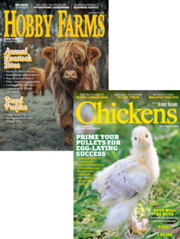 chickens 1-year print subscription combo