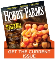 latest issue