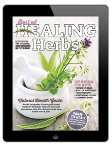 The 2023 Healing Herbs Digital annual is now available
