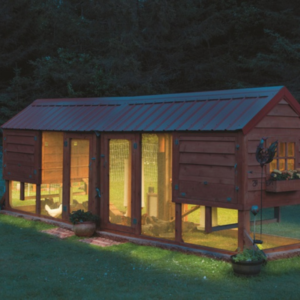 How to Light a Chicken Coop: Four Bright Ideas